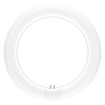 Ledvance Rura LED T9 Value Okólnik (EM/Mains) 11W 1320lm - 865 Światło dzienne | Zamienne 22W