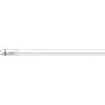 Philips MASTER LED Tube T8 (EM/Mains) Ultra Efficiency 17.6W 3700lm - 865 Światło Dzienne | 150cm - Zamienne 58W