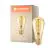 Ledvance Vintage 1906 LED E27 Gruszka Złoty 4W 300lm - 820 Bardzo Ciepła Biel | Ściemnianie - Zamienne 25W
