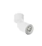 SLV Puri 2.0 Aluminium Spot Valkoinen | Nadaje Się Do 1x GU10