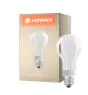 Ledvance Classic LED E27 Gruszka Włókno Matowy 18W 2452lm - 827 Bardzo Ciepła Biel | Ściemnianie - Zamienne 150W