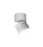 Ansell LED Downlight Reef Matt Valkoinen 5W 486lm 90D - 830-840-860 CCT | 85mm - IP65 - uchylny - zewnętrzna