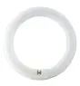 Osram T9 Lumilux Circline 32W - 840 Zimna Biel | 30cm