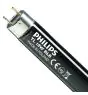 Philips MASTER TL-D 18W - Blacklight Niebieski | 60cm