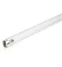 Philips T8 UV - C 36W - Ultrafioletowy | 120cm
