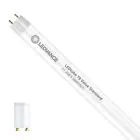 Ledvance Rura LED T8 Value (EM/Mains) Standard Output 11.6W 1400lm - 865 Światło dzienne | 105cm - Zamienne 38W