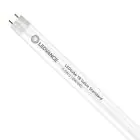 Ledvance Rura LED T8 Value (EM/Mains) Standard Output 6.6W 800lm - 840 Zimna Biel | 60cm - Zamienne 18W