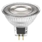 Ledvance Performance LED Spot Reflektor GU5.3 MR16 5W 345lm 36D - 940 Zimna Biel | Najlepsze renderowanie kolorów - Ściemnianie - Zamienne 35W