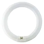 Osram T9 Lumilux Circline 32W - 840 Zimna Biel | 30cm