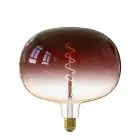 Calex Boden Marron LED E27 Włókno 5W 130lm - 818 Bardzo Ciepła Biel | Ściemnianie