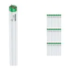 Opakowanie 25x Philips MASTER TL-D Actinic BL 18W - Ultrafioletowy | 60cm