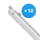 Opakowanie 10x Philips Oprawy Hermetyczne LED CoreLine WT120C G2 42.9W 6000lm - 840 Zimna Biel | 150cm 
