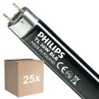 Opakowanie 25x Philips MASTER TL-D 36W - Blacklight Niebieski | 120cm