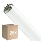 Opakowanie 25x Philips T8 Flexo print 40W | 60cm - UVA