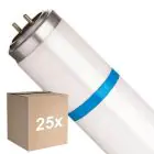 Opakowanie 25x Philips TL-D MASTER Secura Actinic BL 15W - Blacklight | 44cm