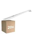 Opakowanie 20x Noxion Belka Click LED T8 | Nadaje Się Do 2x60cm Rura LED