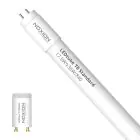 Noxion Rura LED T8 Avant (EM/Mains) Standard Output 15W 1800lm - 840 Zimna Biel | 120cm - Zamienne 36W