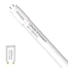 Noxion Rura LED T8 Avant (EM/Mains) Standard Output 7.5W 900lm - 830 Ciepła Biel | 60cm - Zamienne 18W